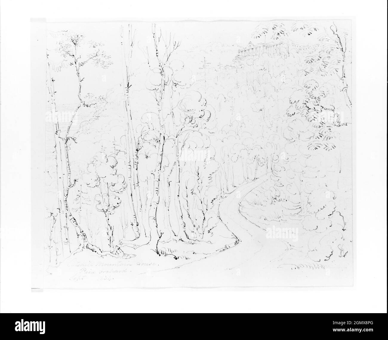 Catskill Mountain House from Pine Orchard (from Sketchbook). Artist