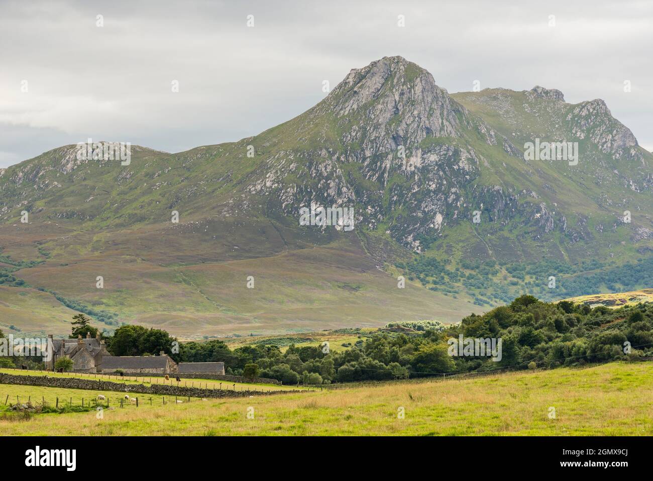 Just off the NC500 near Tongue a jagged peak of Ben Loyal looms over Ribigill farmhouse on a overcast day. Stock Photo