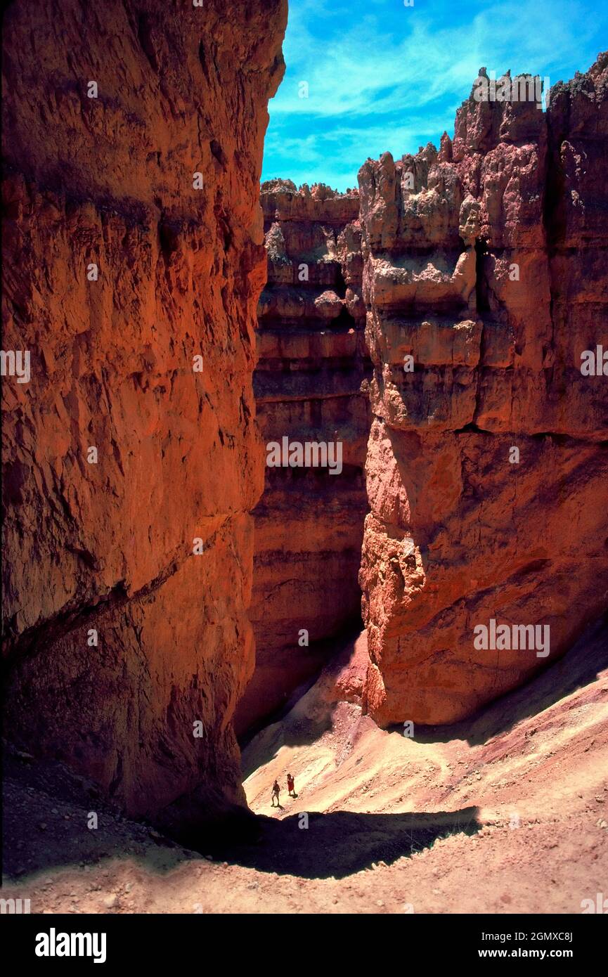 Bryce Canyon, Utah, USA - 3 June 2008 Bryce Canyon National Park is  located in southwestern Utah in the United States. The canyon is a collection of Stock Photo
