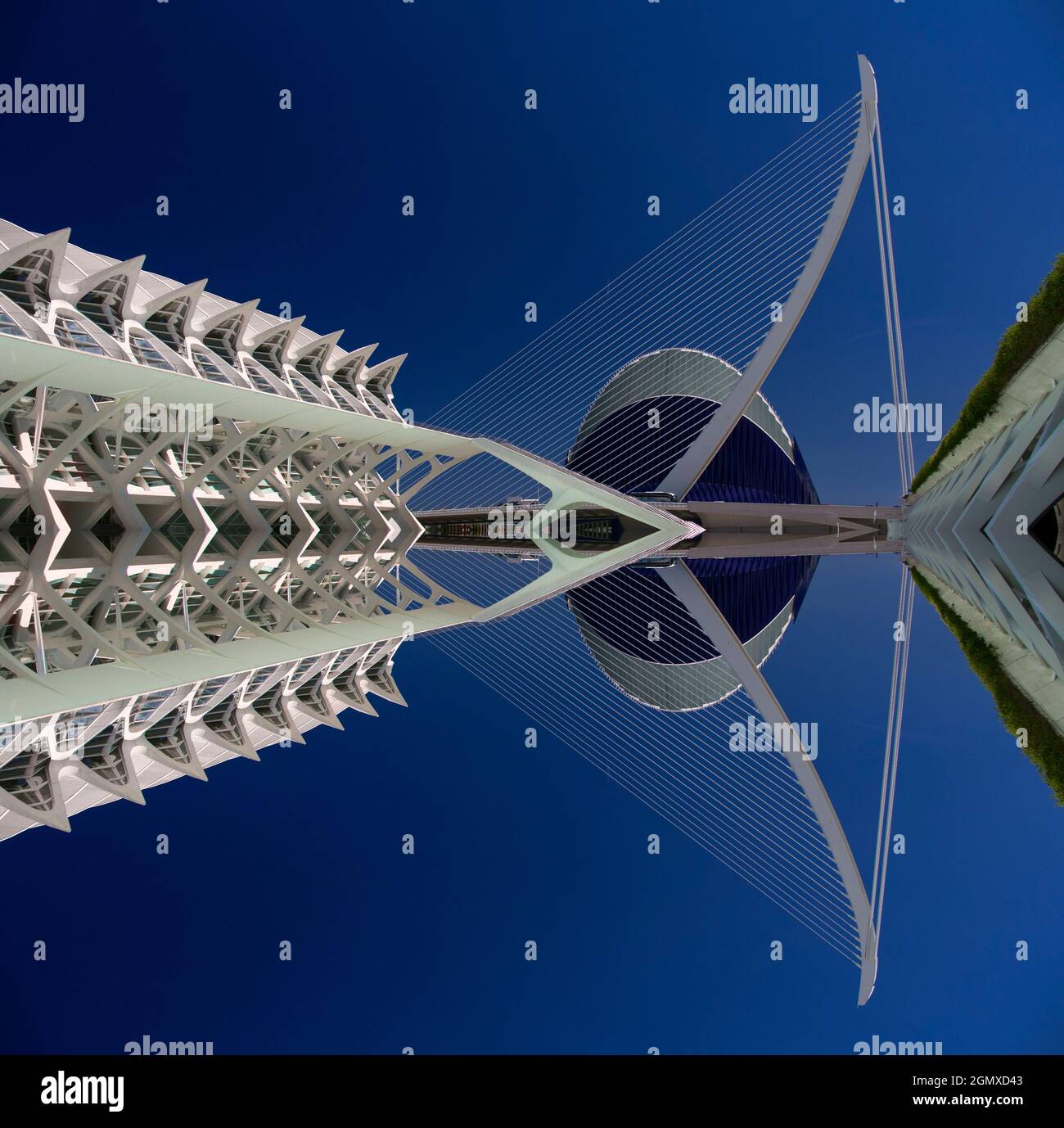Shell Structures Helmets Shell structure helmet hi-res stock photography and images - Alamy