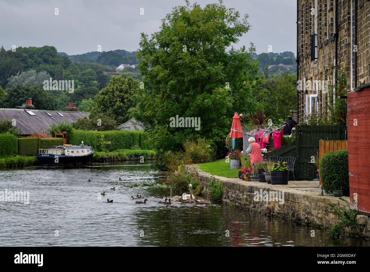 Lady feeding water birds from house garden (old Victorian textile mill) & moored narrowboat - on banks of scenic Leeds Liverpool Canal, England, UK. Stock Photo