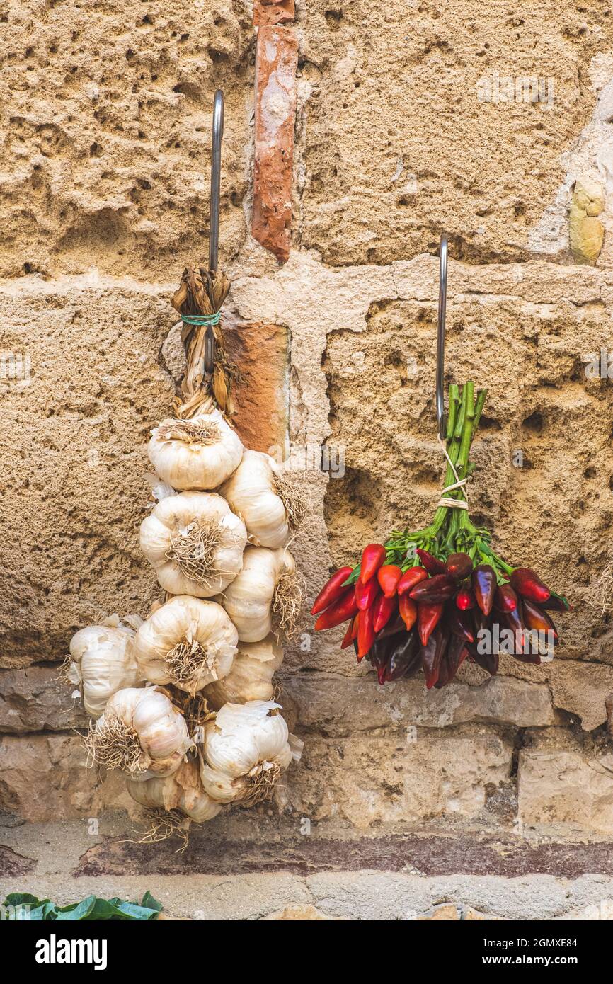 Bunch of hot chili peppers and fresh white garlic hanging on a stone ...
