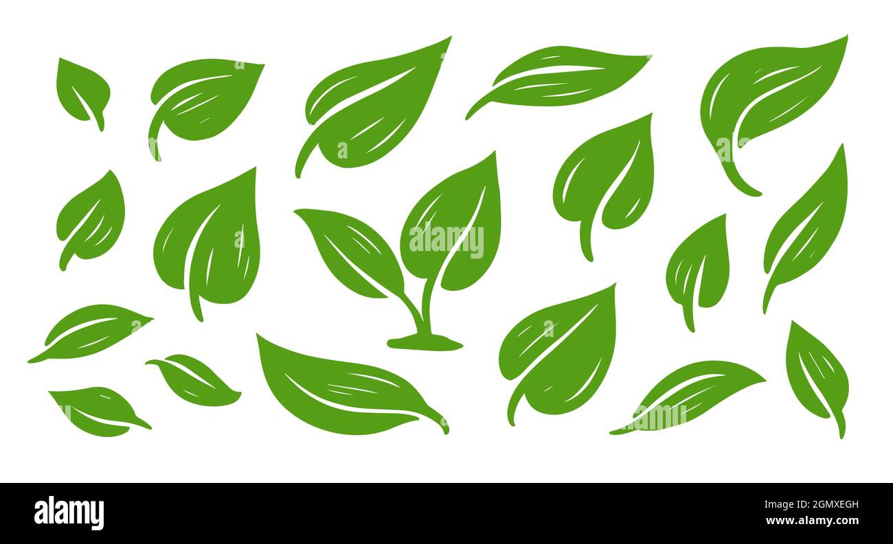 Green abstract leaf icon set. Design graphic element. Template for eco ...