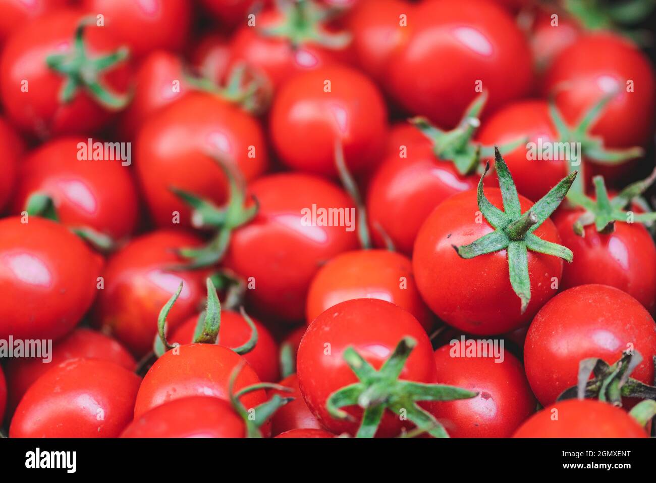 Fresh bio red cherry tomatoes in a market, close up Stock Photo - Alamy