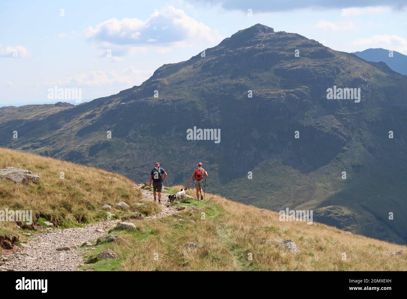 A couple with their dogs fell-walking near Bow Fell,  Langdale, Lake District, UK. Footpath known as The Band. Stock Photo
