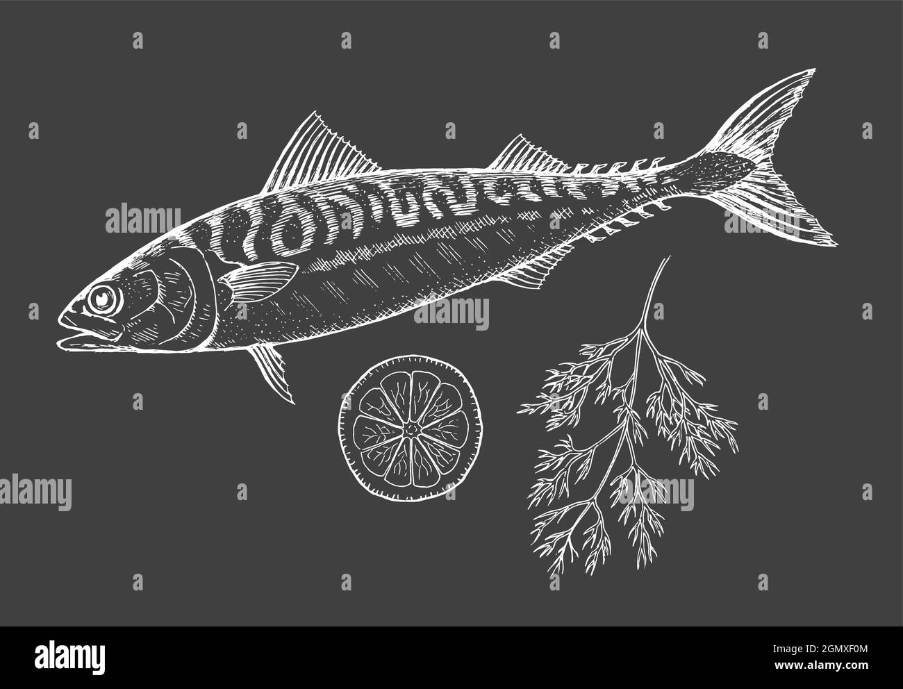 Sea fish mackerel with lemon and dill on a black background. Cooking delicious food. Vector chalk illustration hand drawn Stock Vector
