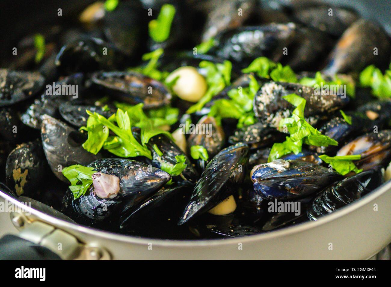 Peppered fresh mussels or impepata di cozze cooking in a frying pan with olive oil, garlic and