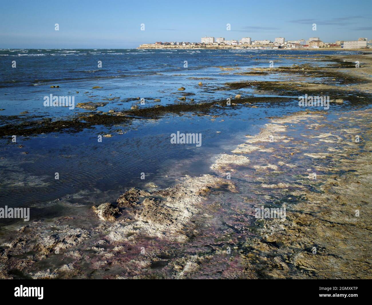 Swampy shore of the Caspian Sea. Dirty stinking sea shore. Kazakhstan. Mangistau region. Aktau city. 05 November 2019 year. Stock Photo