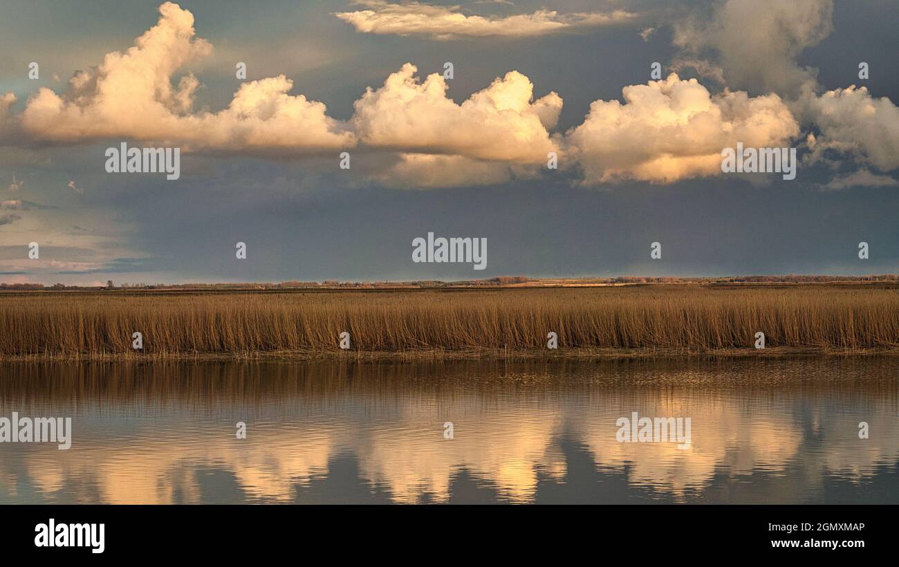 The Bodden landscape of Zingst with dramatic sky and reflection in the water. colorful sight. a beautiful vacation place Stock Photo