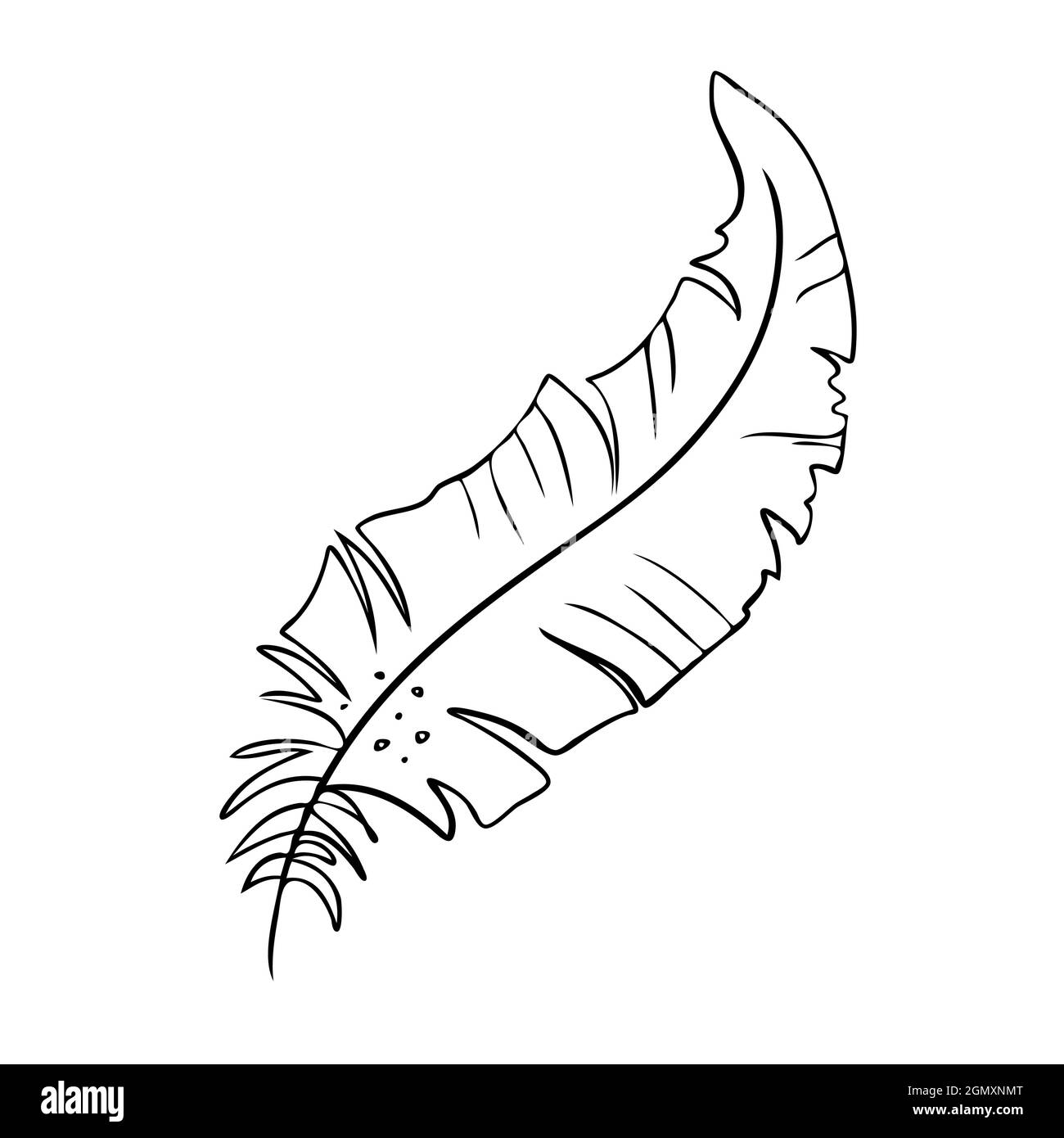 Feather of birds. Black and white feather silhouette for logo vector ...