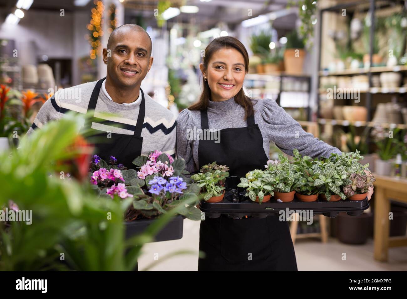 Positive flower shop workers holding pots of flowers Stock Photo Alamy