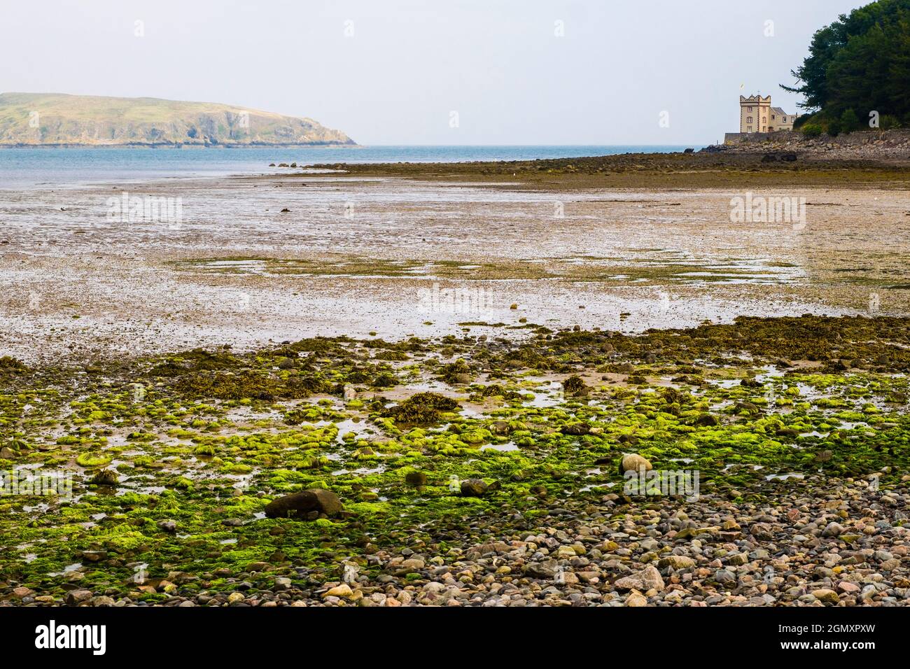 Hestan Island and The Tower seen across Balcary Bay at low tide. Auchencairn, Dalbeattie, Dumfries and Galloway, Scotland, UK, Britain Stock Photo