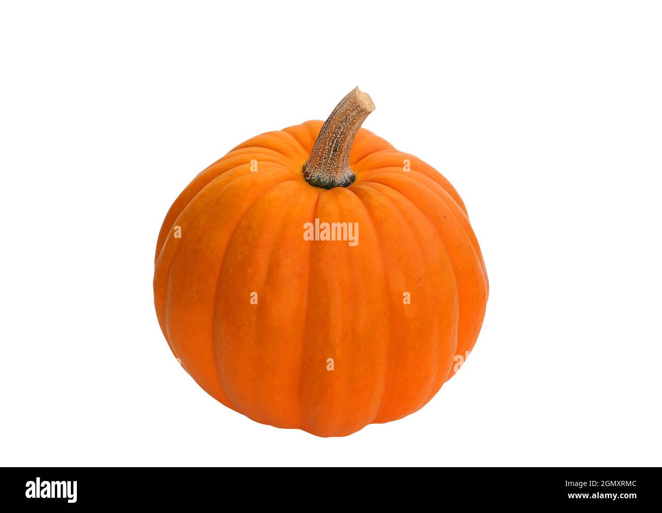 Orange pumpkin isolated on white background Stock Photo - Alamy