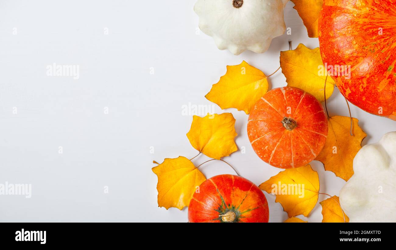 Festive autumn decor from pumpkins and leaves on a white wooden ...