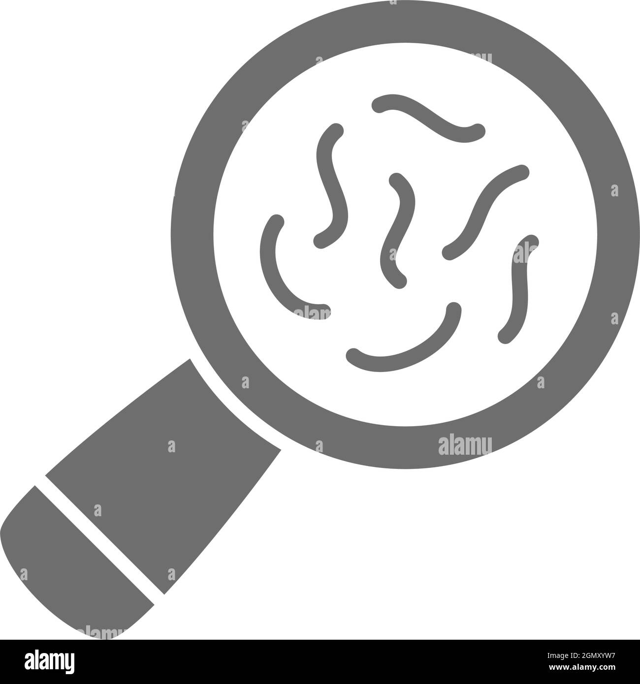 Vector bacteria under magnifying glass grey icon Stock Vector Image ...