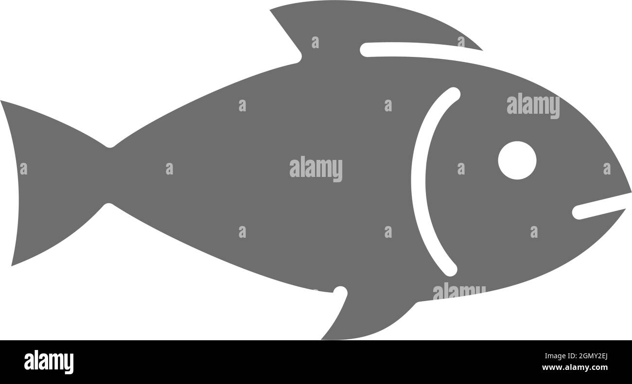 Fish, aquatic animal grey icon. Isolated on white background Stock ...