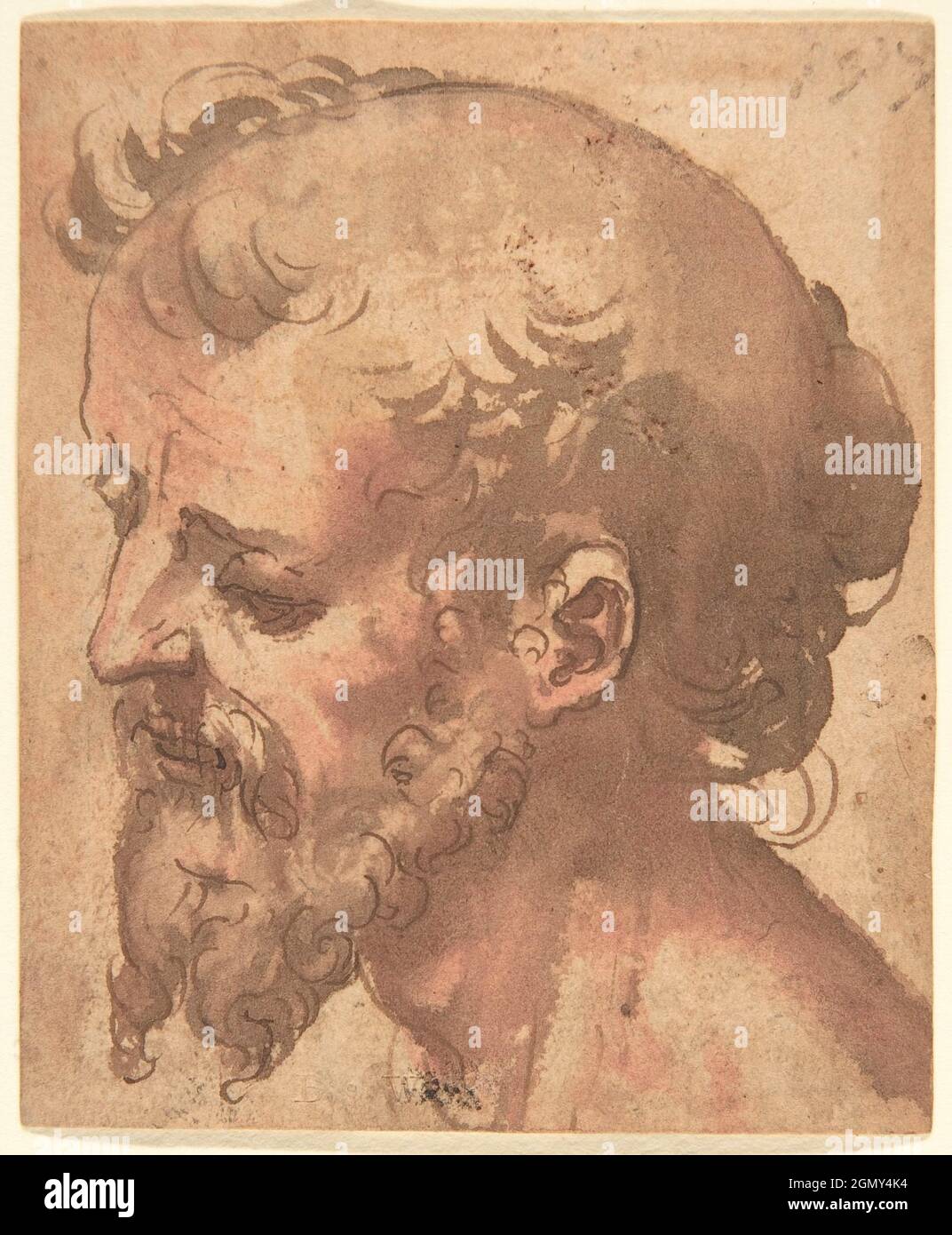 1,600+ Bearded Man Profile Stock Illustrations, Royalty-Free