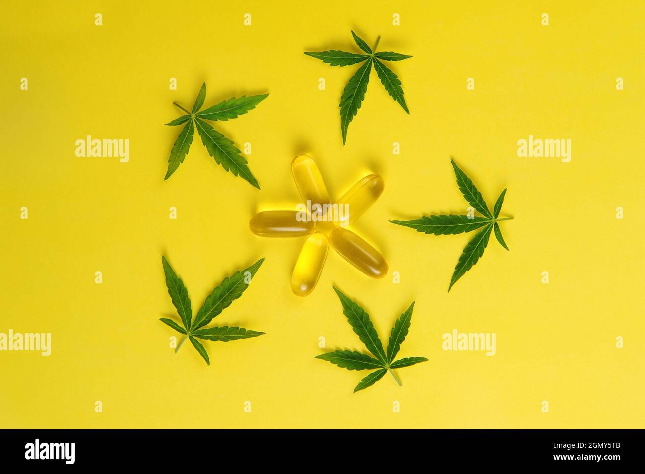 Marijuana oil, fresh leaves. Cannabis plant on yellow background. Hemp recreation, medical usage, legalization. Stock Photo