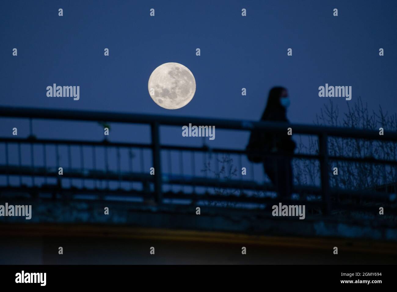 Santiago, Metropolitana, Chile. 21st Sep, 2021. The full Harvest Moon over a bridge at sunrise, in Santiago, Chile. (Credit Image: © Matias Basualdo/ZUMA Press Wire) Stock Photo