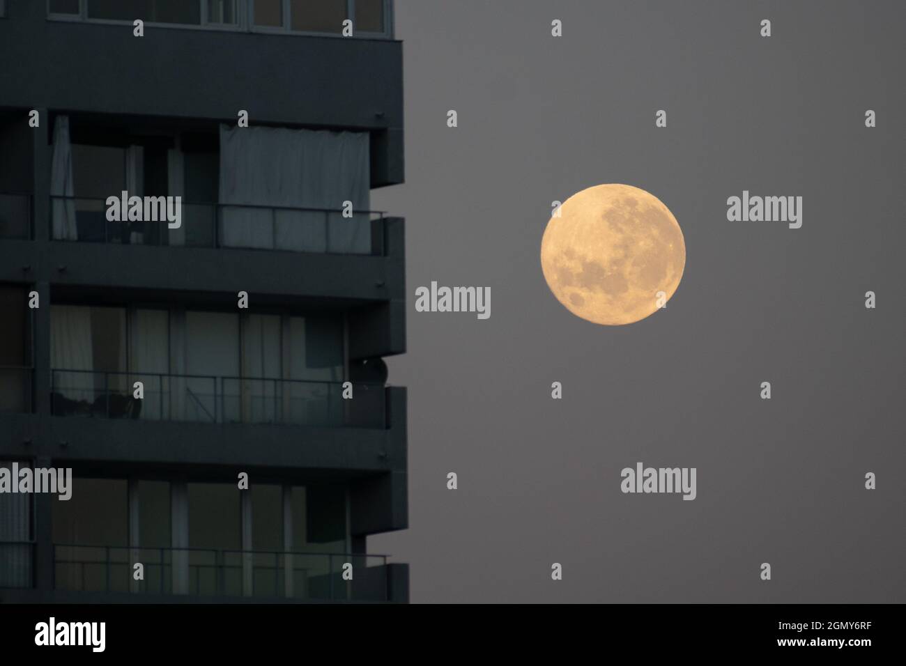 Santiago, Metropolitana, Chile. 21st Sep, 2021. A full Harvest Moon next to a building at sunrise in Santiago, Chile. (Credit Image: © Matias Basualdo/ZUMA Press Wire) Stock Photo