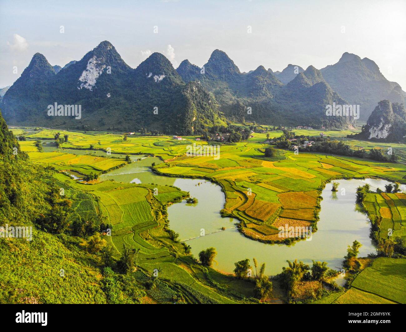 Phong Nam valley with rice field in Cao Bang province northern Vietnam