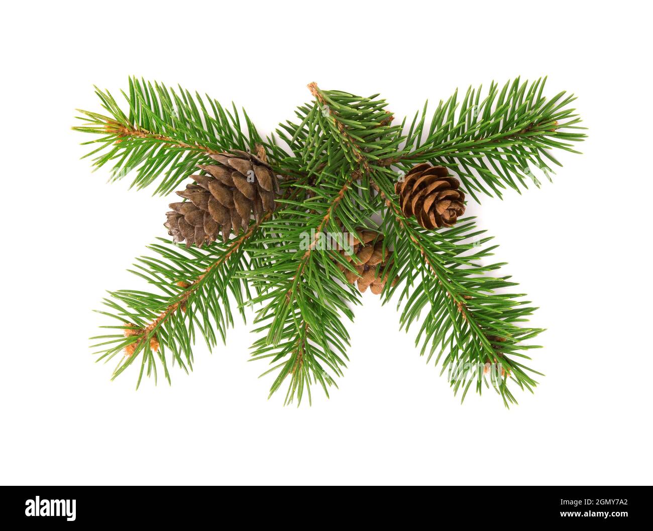 Fir tree hires stock photography and