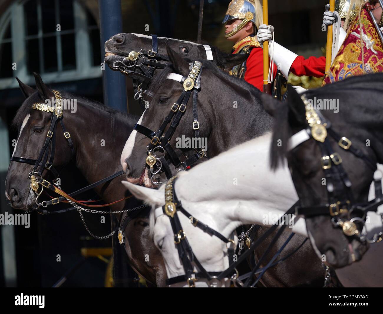 Members of the Household Cavalry in the courtyard of the Royal Mews