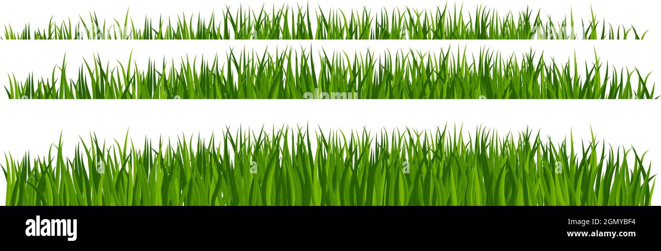 Vector green Grass borders set on white background Stock Vector Image ...