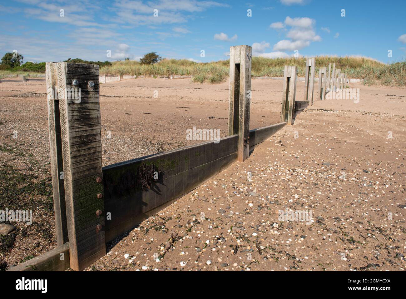 Groynes on Monifieth beach, Angus, Scotland. Stock Photo