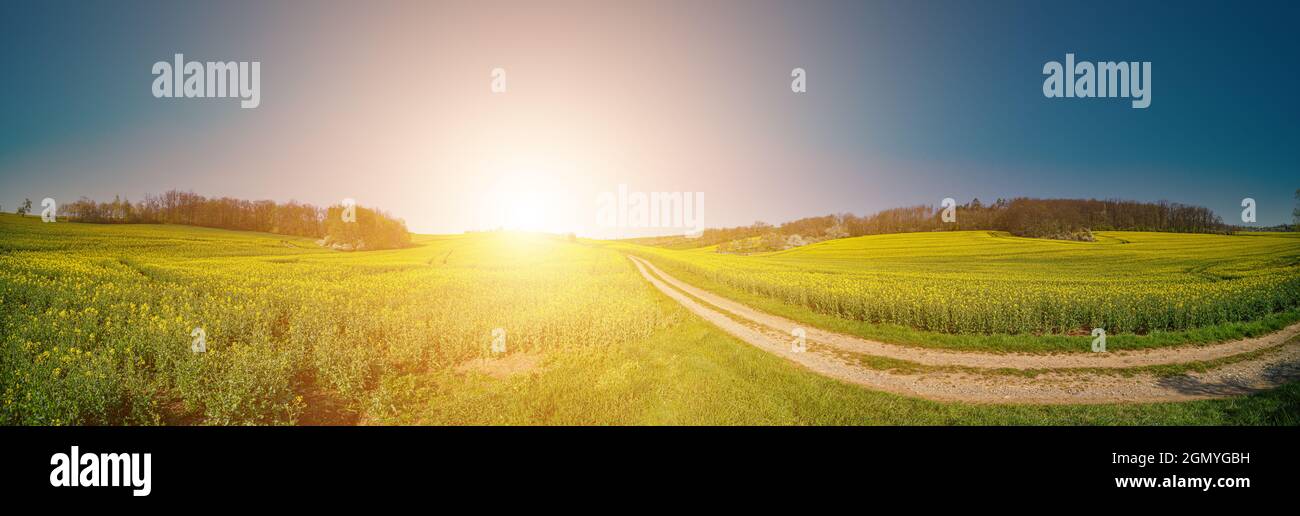 Panorama of green field with dirt road and sunset sky. Summer rural ...