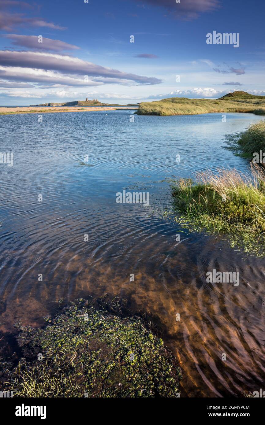 Small fresh water lake on the beach at Embleton Bay, Embleton, Northumberland, England, UK Stock Photo