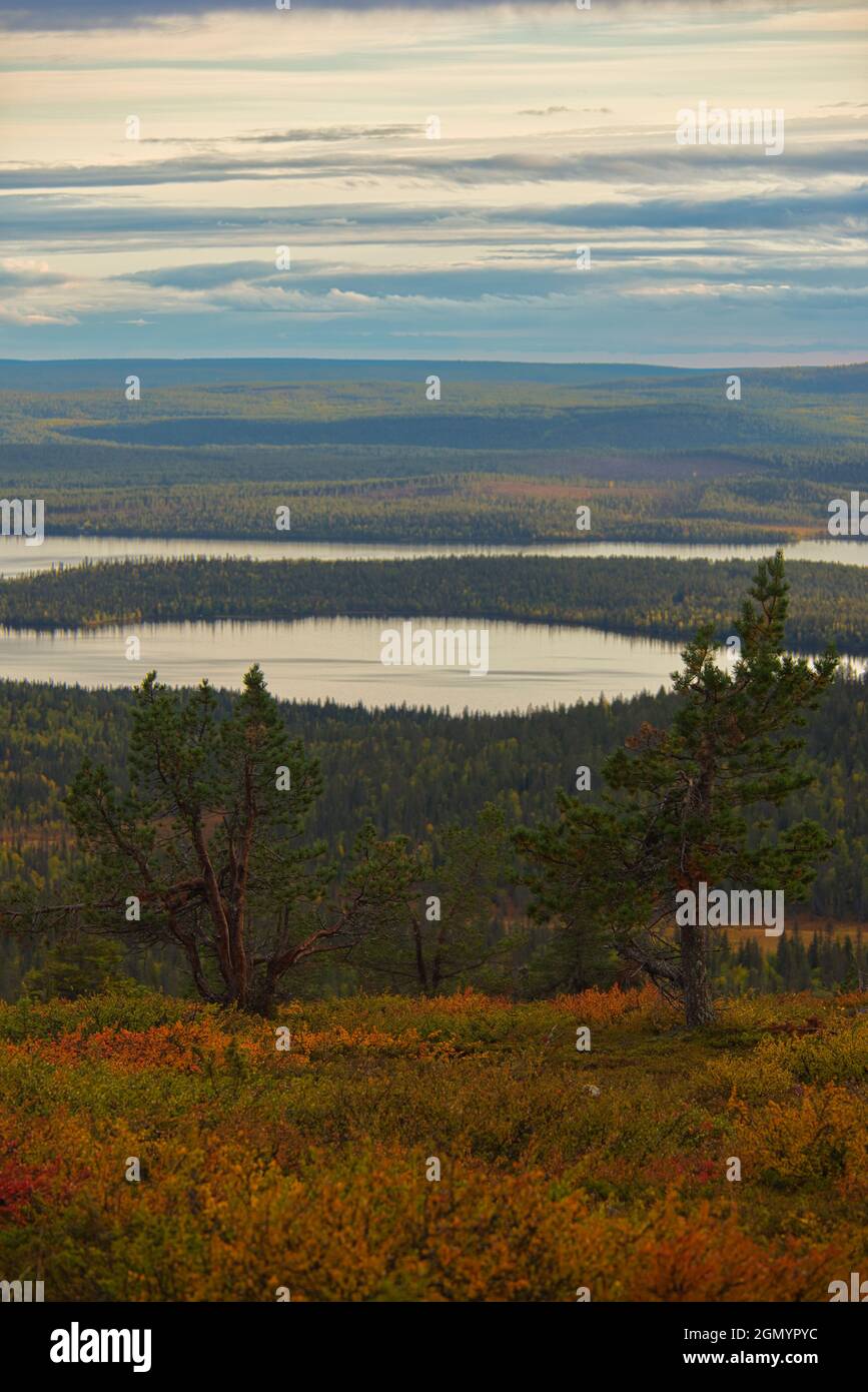 Autumn scene on Sammaltunturi in Pallas-Yllästunturi National Park, Muonio, Finland Stock Photo