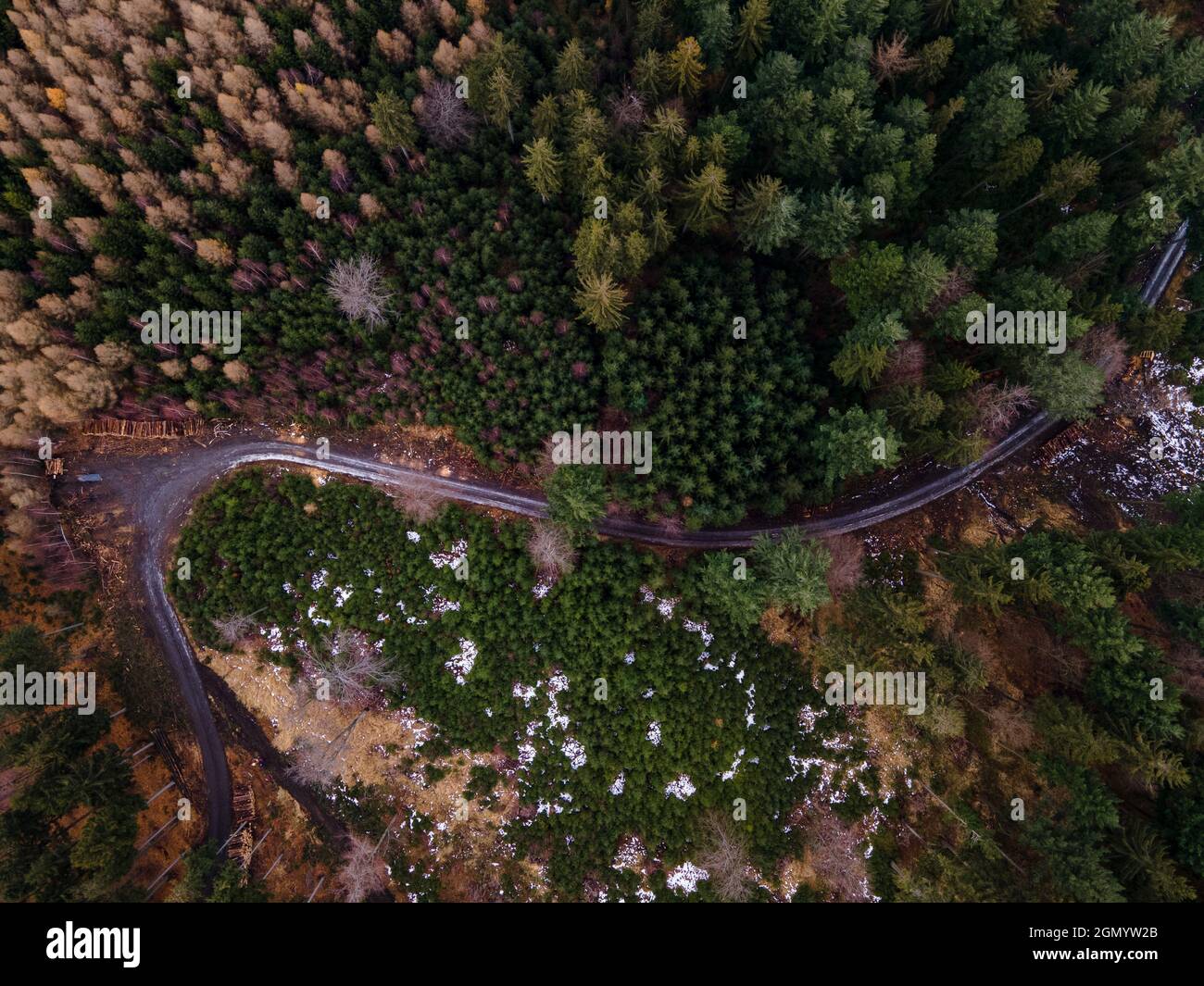 Aerial view of green dense forests Stock Photo - Alamy