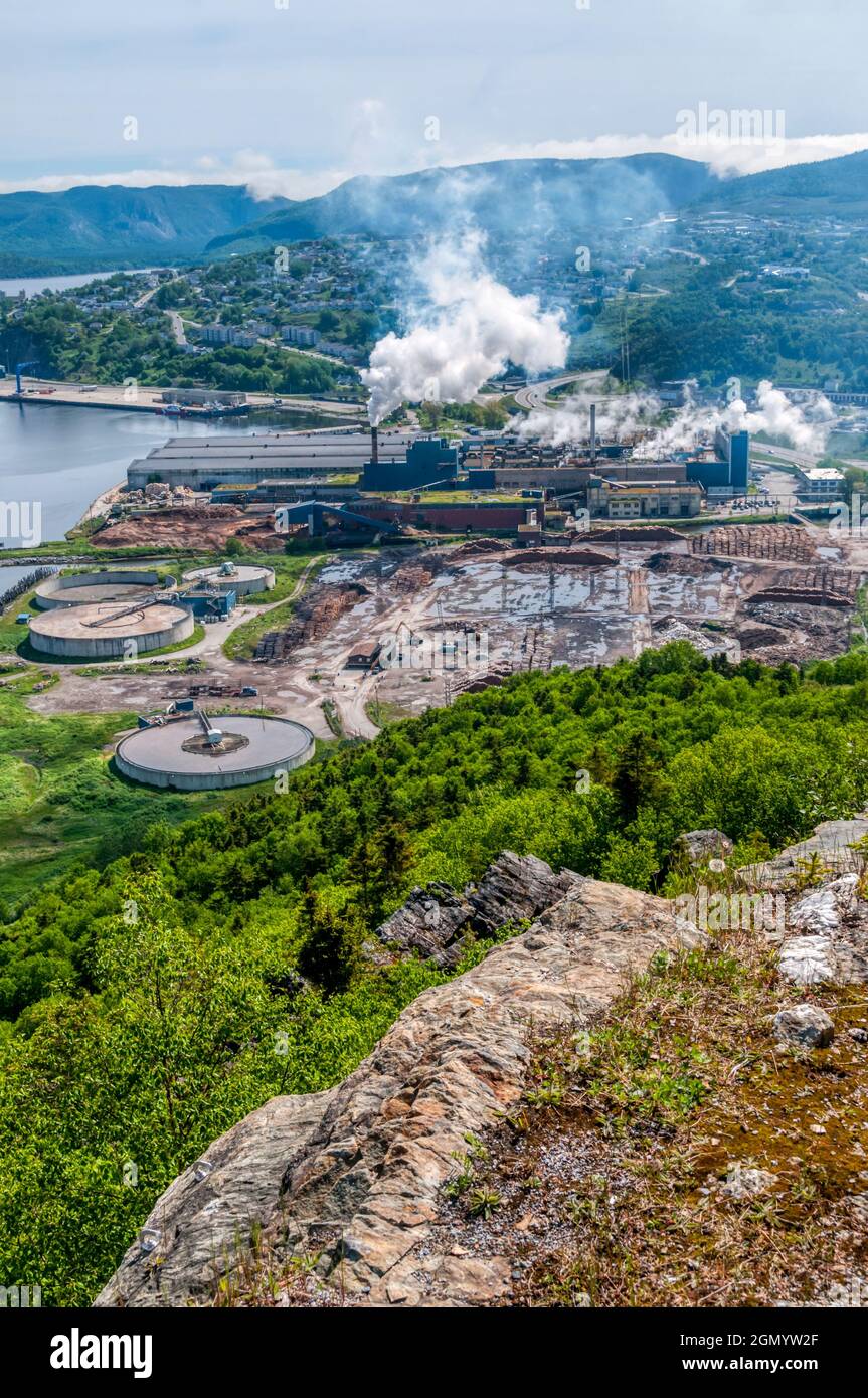 Pulp and paper of america hires stock photography and images Alamy