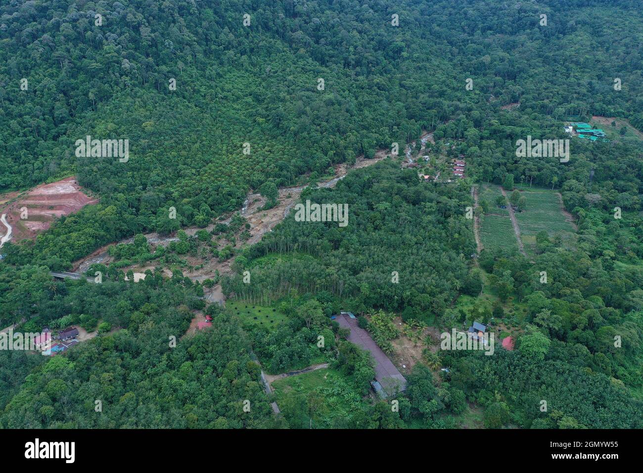 Aerial view of green dense forests Stock Photo - Alamy