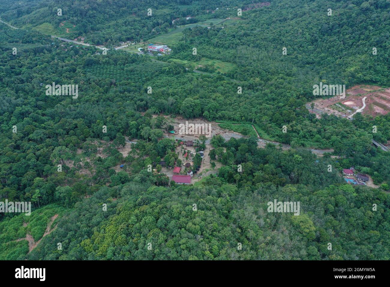 Aerial view of green dense forests Stock Photo - Alamy