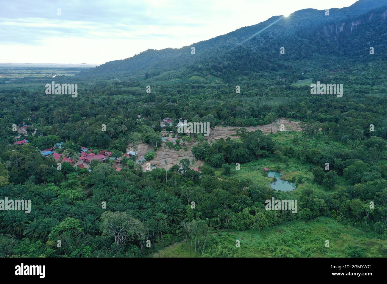 Aerial view of green dense forests Stock Photo - Alamy