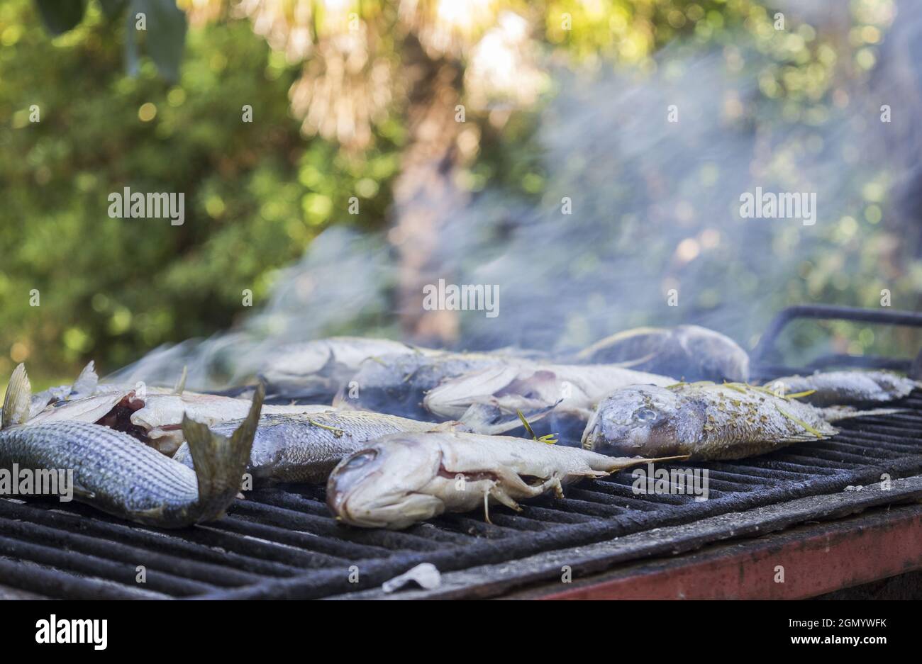 Fresh fish being grilled outdoors Stock Photo - Alamy