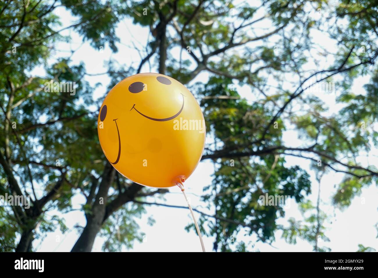 smiley balloon on green bokeh background Stock Photo