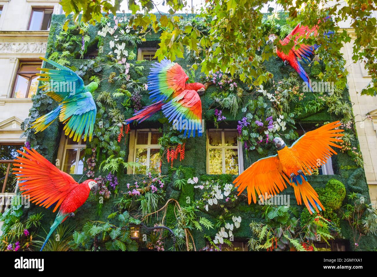 Rainforest facade at Annabel's Club in Mayfair, part of a campaign with One Tree Planted to help save the Amazon rainforest. London, United Kingdom 21 September 2021. Stock Photo