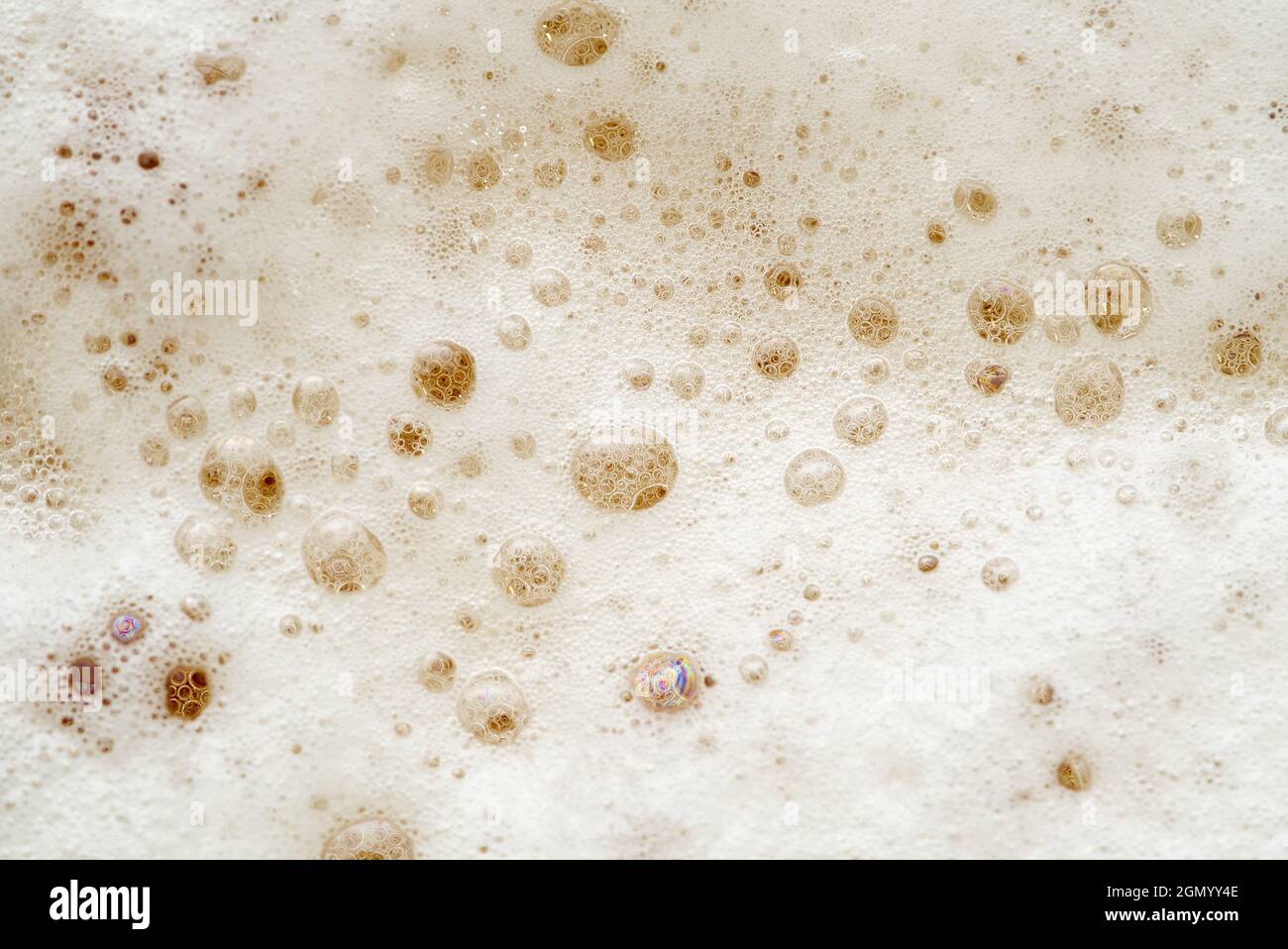 Fresh Beer foam texture. Macro detail of beer bubble and foam Stock Photo -  Alamy