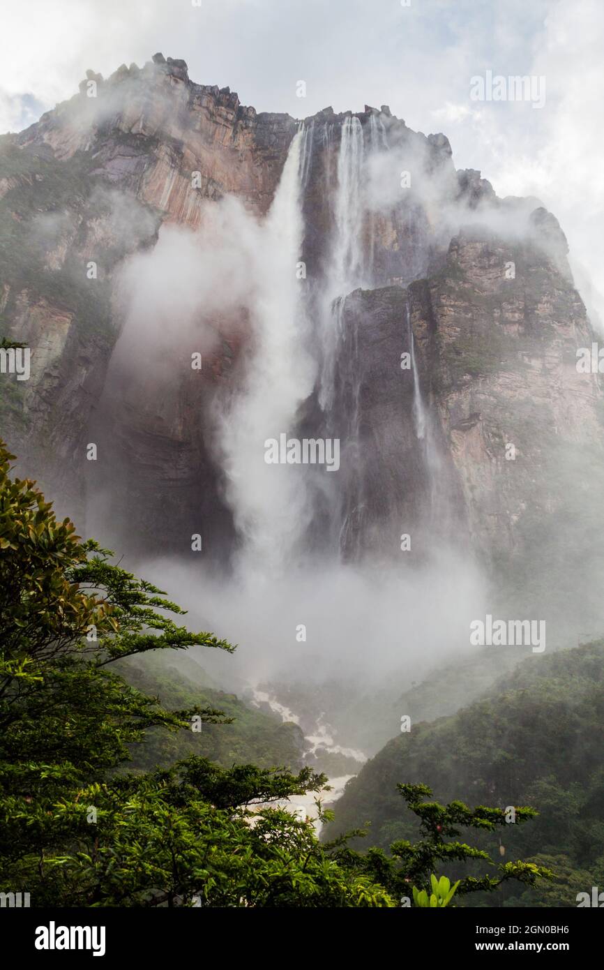 Angel Falls (Salto Angel), the highest waterfall in the world (978 m