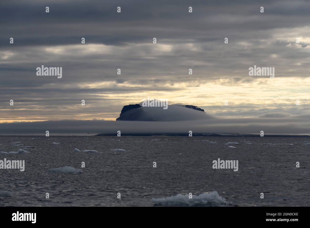Arctic landscape in summer time. Franz Jozef Land archipelago. Flora