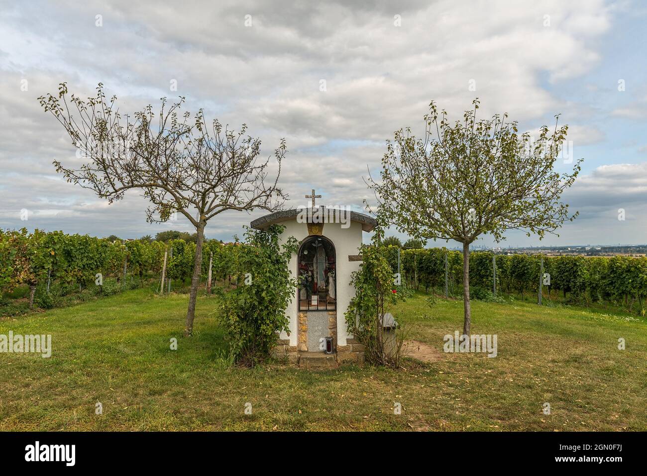 the lourdes chapel on a vineyard in above Flörsheim am Main, Germany Stock Photo