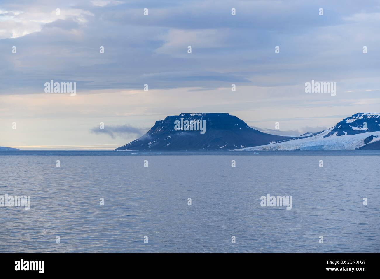 Arctic landscape in summer time. Franz Jozef Land archipelago. Flora