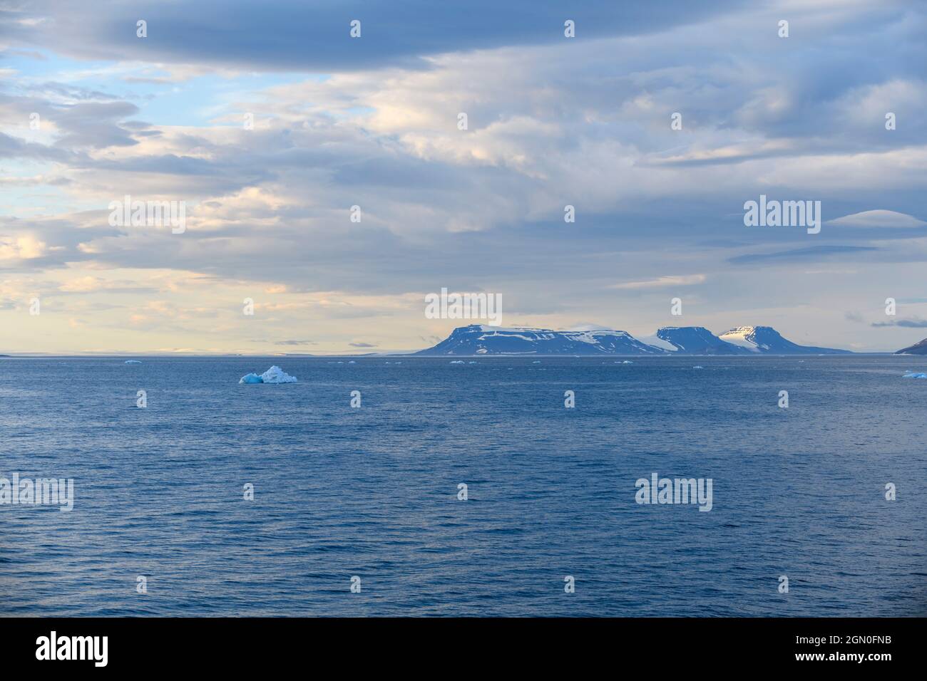 Arctic landscape in summer time. Franz Jozef Land archipelago. Flora