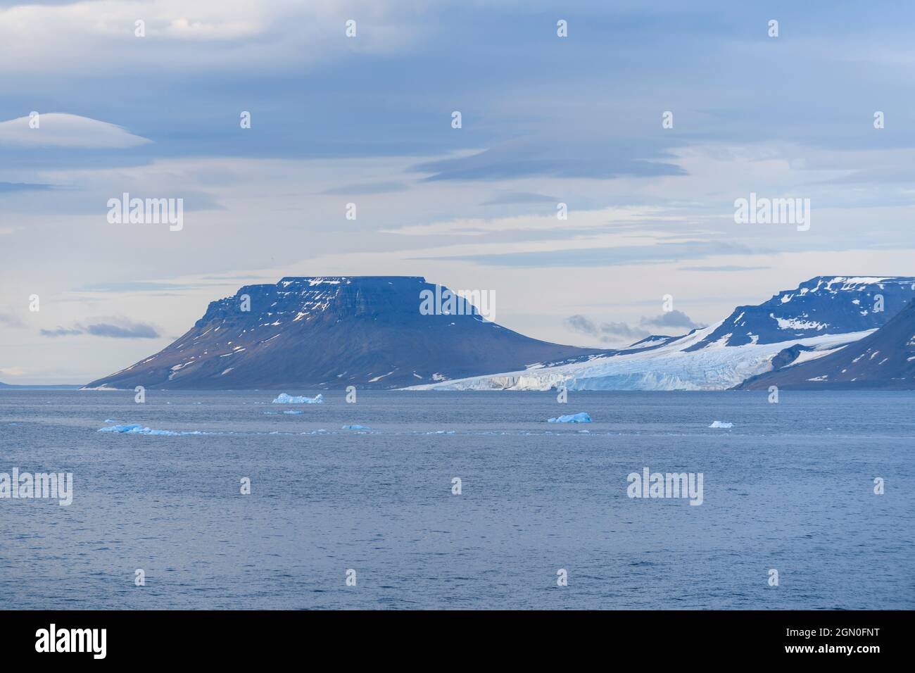 Arctic landscape in summer time. Franz Jozef Land archipelago. Flora