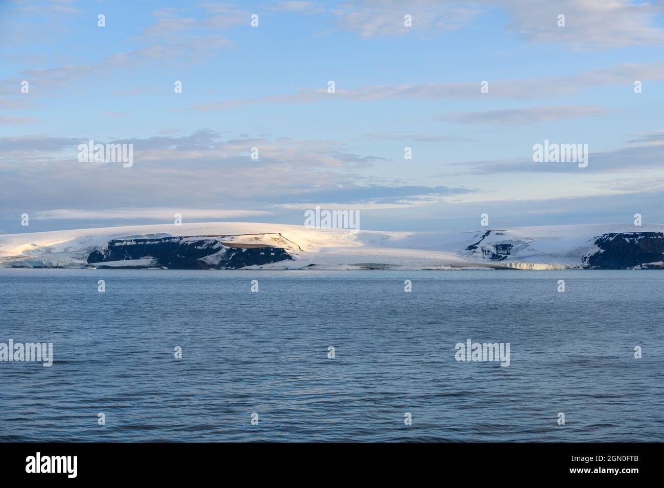 Arctic landscape in summer time. Franz Jozef Land archipelago. Flora
