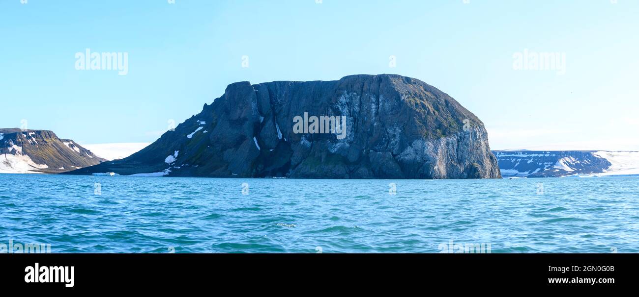 Arctic landscape in summer time. Franz Jozef Land archipelago. Flora