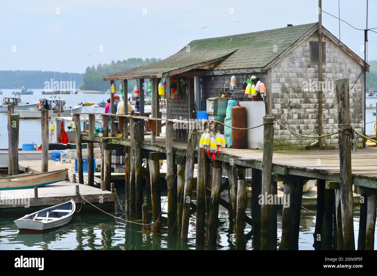 Colorful lobster buoys spruce up a weathered shack on a dock in a working harbor in coastal Maine. Copy space. Stock Photo